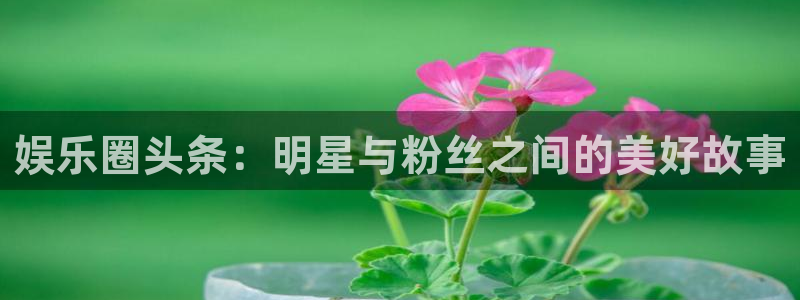 天富娱乐入口：娱乐圈头条：明星与粉丝之间的美好故事