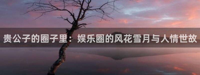 天富娱乐登录地址：贵公子的圈子里：娱乐圈的风花雪月与人情世故