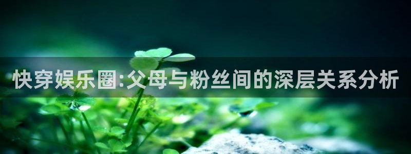 天富娱乐网站：快穿娱乐圈:父母与粉丝间的深层关系分析