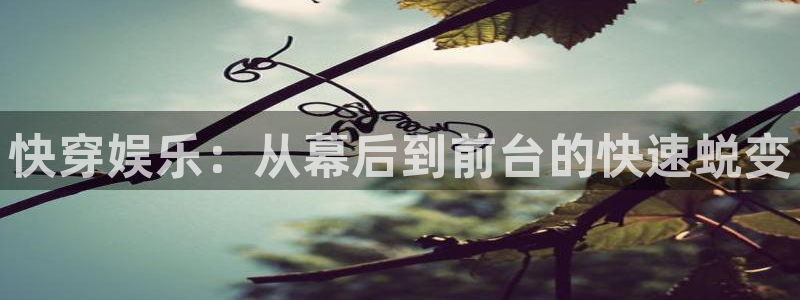天富注册：快穿娱乐：从幕后到前台的快速蜕变