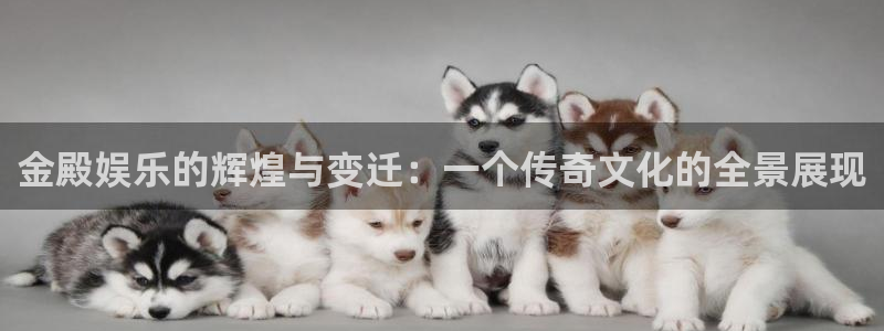 天富娱乐注册：金殿娱乐的辉煌与变迁：一个传奇文化的全景展现