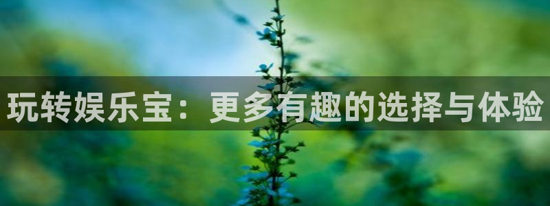 天富娱乐账户注册步骤详解
